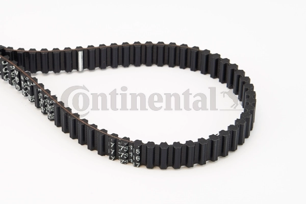 Timing Belt